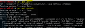 update Kali Linux
